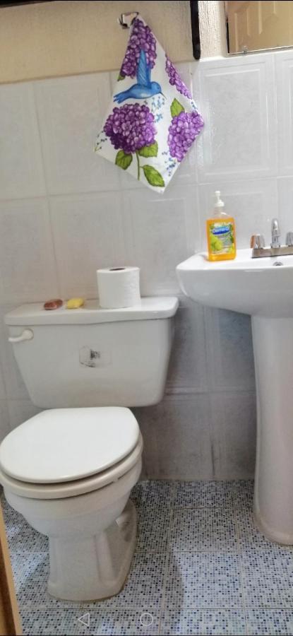 Hotel Chalet 치치카스테낭고 외부 사진