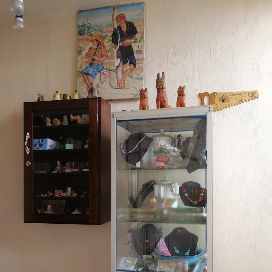 Hotel Chalet 치치카스테낭고 외부 사진